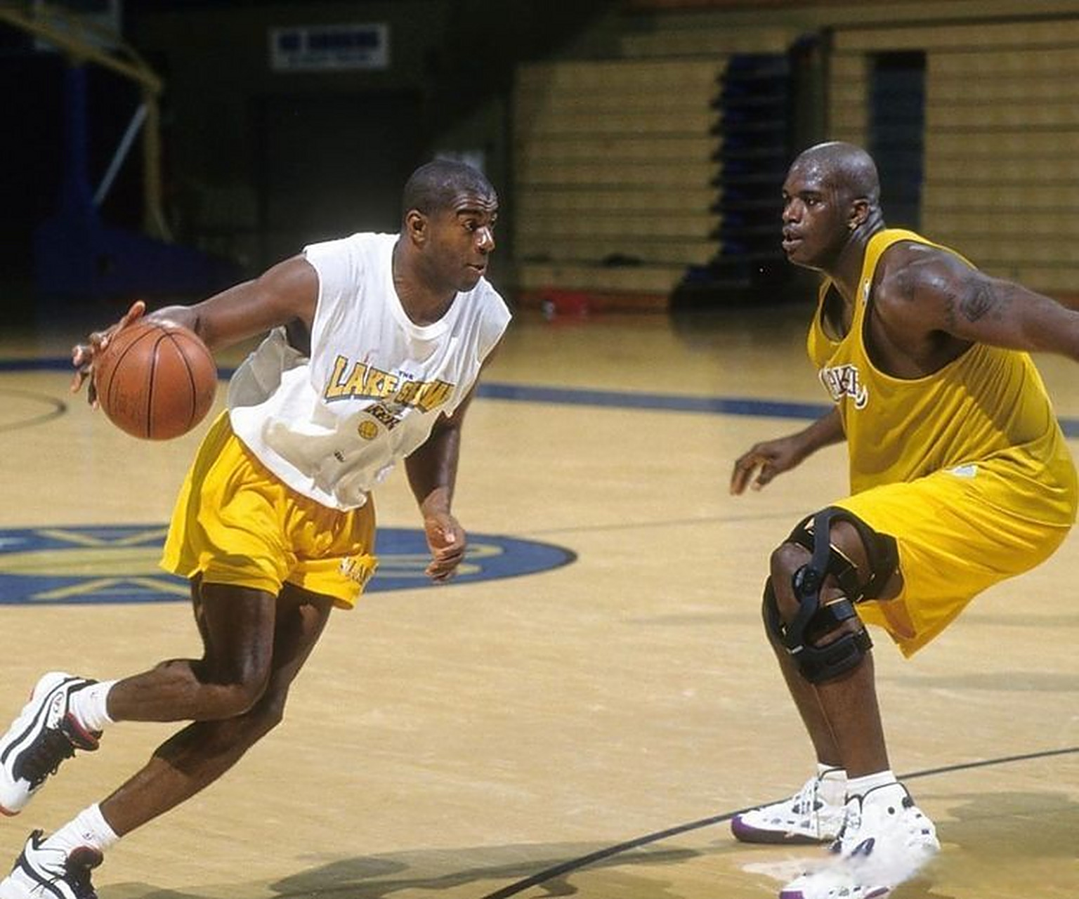 就必须看看 就必须看看