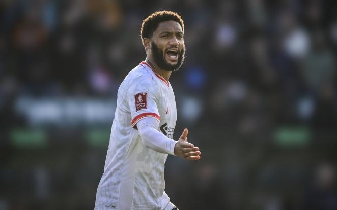 额外的商业 额外的商业