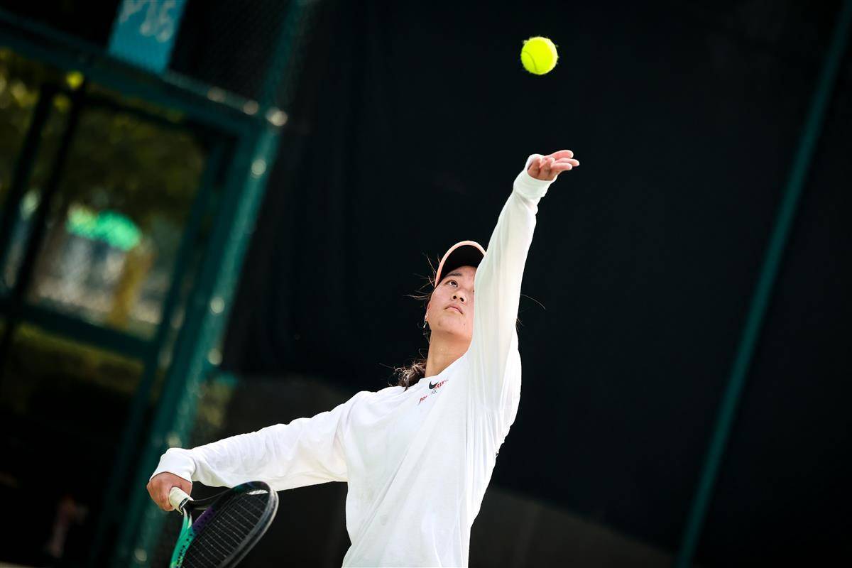 强大的统治 强大的统治